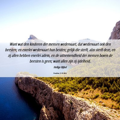 Picture 06 - Prediker 3:19 NLD - Want wat den kinderen der mensen wedervaart, dat - Bible Verse Picture