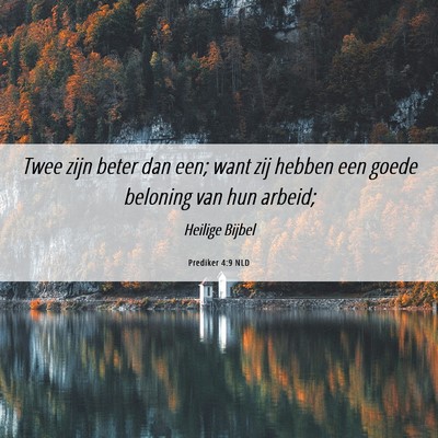 Picture 06 - Prediker 4:9 NLD - Twee zijn beter dan een; want zij hebben een - Bible Verse Picture