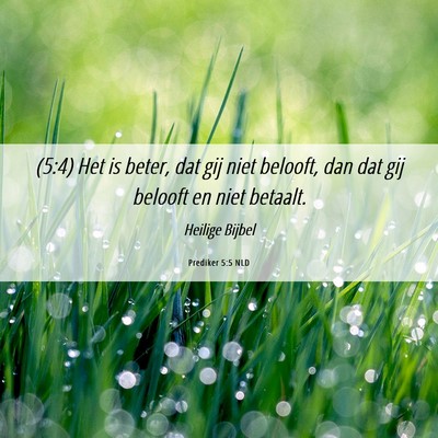 Picture 06 - Prediker 5:5 NLD - (5:4) Het is beter, dat gij niet belooft, dan dat - Bible Verse Picture