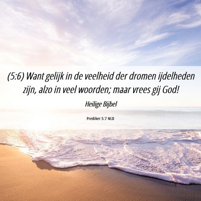 Picture 06 - Prediker 5:7 NLD - (5:6) Want gelijk in de veelheid der dromen - Bible Verse Picture