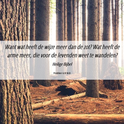 Picture 06 - Prediker 6:8 NLD - Want wat heeft de wijze meer dan de zot? Wat - Bible Verse Picture