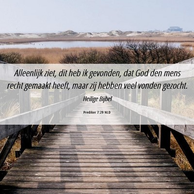 Picture 06 - Prediker 7:29 NLD - Alleenlijk ziet, dit heb ik gevonden, dat God den - Bible Verse Picture