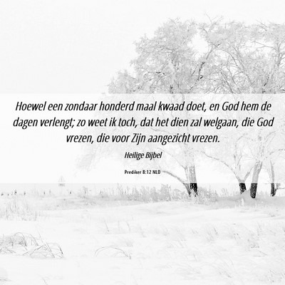 Picture 06 - Prediker 8:12 NLD - Hoewel een zondaar honderd maal kwaad doet, en - Bible Verse Picture