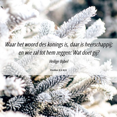 Picture 06 - Prediker 8:4 NLD - Waar het woord des konings is, daar is - Bible Verse Picture
