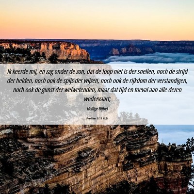 Picture 06 - Prediker 9:11 NLD - Ik keerde mij, en zag onder de zon, dat de loop - Bible Verse Picture