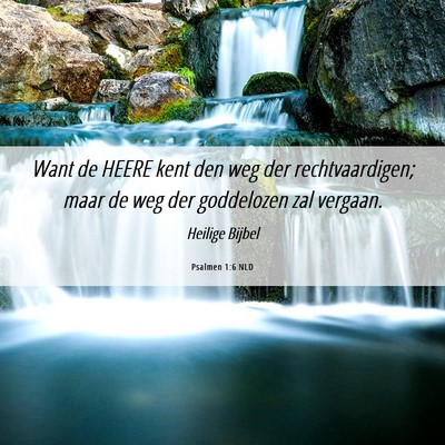 Picture 06 - Psalmen 1:6 NLD - Want de HEERE kent den weg der rechtvaardigen; - Bible Verse Picture