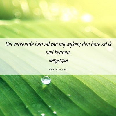Picture 06 - Psalmen 101:4 NLD - Het verkeerde hart zal van mij wijken; den boze - Bible Verse Picture