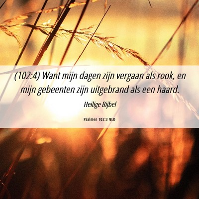 Picture 06 - Psalmen 102:3 NLD - (102:4) Want mijn dagen zijn vergaan als rook, en - Bible Verse Picture
