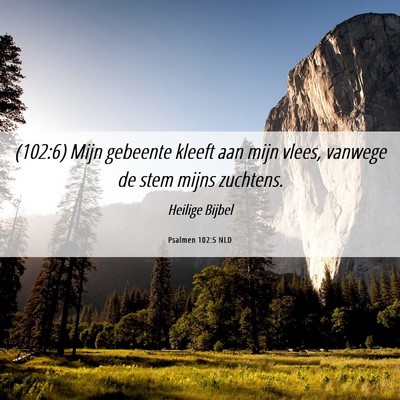 Picture 06 - Psalmen 102:5 NLD - (102:6) Mijn gebeente kleeft aan mijn vlees, - Bible Verse Picture