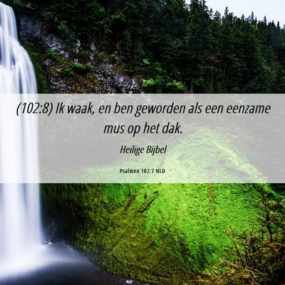 Picture 06 - Psalmen 102:7 NLD - (102:8) Ik waak, en ben geworden als een eenzame - Bible Verse Picture