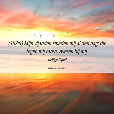 Picture 06 - Psalmen 102:8 NLD - (102:9) Mijn vijanden smaden mij al den dag; die - Bible Verse Picture
