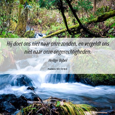 Picture 06 - Psalmen 103:10 NLD - Hij doet ons niet naar onze zonden, en vergeldt - Bible Verse Picture