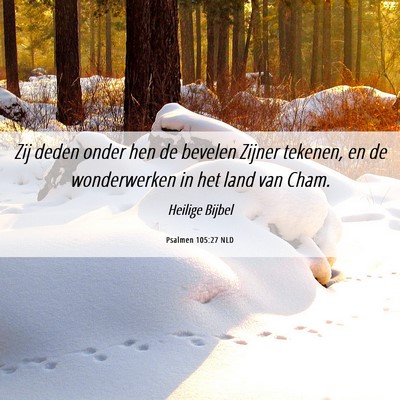 Picture 06 - Psalmen 105:27 NLD - Zij deden onder hen de bevelen Zijner tekenen, en - Bible Verse Picture