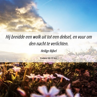 Picture 06 - Psalmen 105:39 NLD - Hij breidde een wolk uit tot een deksel, en vuur - Bible Verse Picture