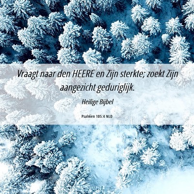 Picture 06 - Psalmen 105:4 NLD - Vraagt naar den HEERE en Zijn sterkte; zoekt Zijn - Bible Verse Picture
