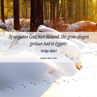 Picture 06 - Psalmen 106:21 NLD - Zij vergaten God, hun Heiland, Die grote dingen - Bible Verse Picture