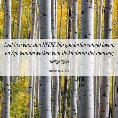 Picture 06 - Psalmen 107:31 NLD - Laat hen voor den HEERE Zijn goedertierenheid - Bible Verse Picture