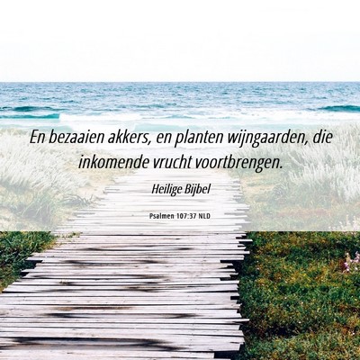 Picture 06 - Psalmen 107:37 NLD - En bezaaien akkers, en planten wijngaarden, die - Bible Verse Picture