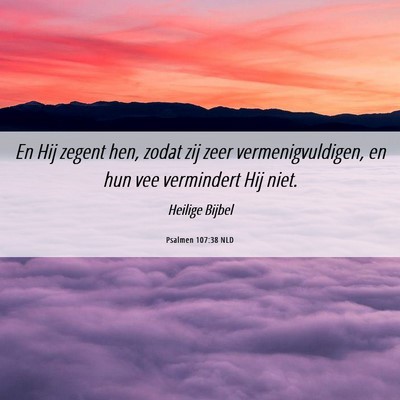 Picture 06 - Psalmen 107:38 NLD - En Hij zegent hen, zodat zij zeer - Bible Verse Picture