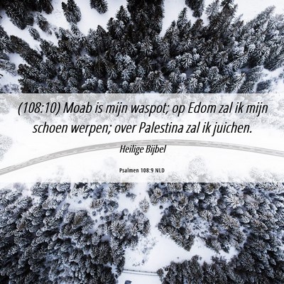 Picture 06 - Psalmen 108:9 NLD - (108:10) Moab is mijn waspot; op Edom zal ik mijn - Bible Verse Picture