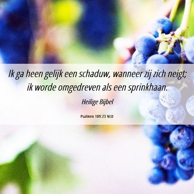 Picture 06 - Psalmen 109:23 NLD - Ik ga heen gelijk een schaduw, wanneer zij zich - Bible Verse Picture