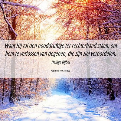 Picture 06 - Psalmen 109:31 NLD - Want Hij zal den nooddruftige ter rechterhand - Bible Verse Picture