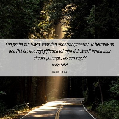 Picture 06 - Psalmen 11:1 NLD - Een psalm van David, voor den opperzangmeester. - Bible Verse Picture