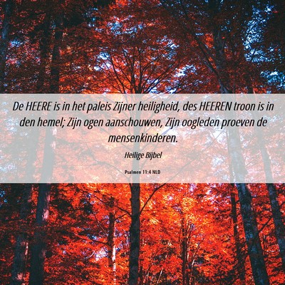 Picture 06 - Psalmen 11:4 NLD - De HEERE is in het paleis Zijner heiligheid, des - Bible Verse Picture