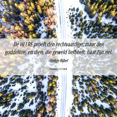 Picture 06 - Psalmen 11:5 NLD - De HEERE proeft den rechtvaardige; maar den - Bible Verse Picture