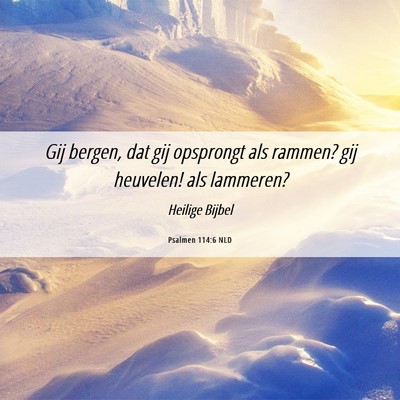 Picture 06 - Psalmen 114:6 NLD - Gij bergen, dat gij opsprongt als rammen? gij - Bible Verse Picture