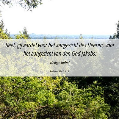 Picture 06 - Psalmen 114:7 NLD - Beef, gij aarde! voor het aangezicht des Heeren, - Bible Verse Picture