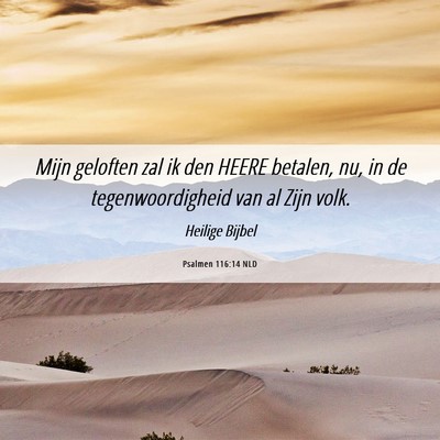 Picture 06 - Psalmen 116:14 NLD - Mijn geloften zal ik den HEERE betalen, nu, in de - Bible Verse Picture