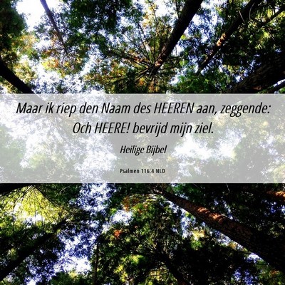 Picture 06 - Psalmen 116:4 NLD - Maar ik riep den Naam des HEEREN aan, zeggende: - Bible Verse Picture