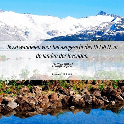 Picture 06 - Psalmen 116:9 NLD - Ik zal wandelen voor het aangezicht des HEEREN, - Bible Verse Picture