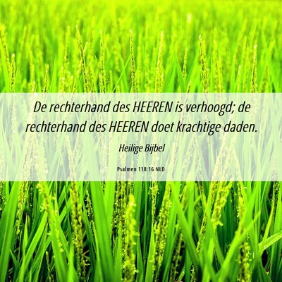 Picture 06 - Psalmen 118:16 NLD - De rechterhand des HEEREN is verhoogd; de - Bible Verse Picture
