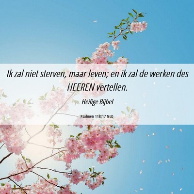 Picture 06 - Psalmen 118:17 NLD - Ik zal niet sterven, maar leven; en ik zal de - Bible Verse Picture