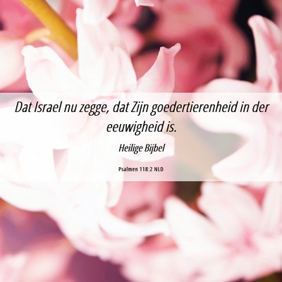 Picture 06 - Psalmen 118:2 NLD - Dat Israel nu zegge, dat Zijn goedertierenheid in - Bible Verse Picture