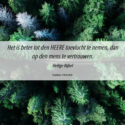 Picture 06 - Psalmen 118:8 NLD - Het is beter tot den HEERE toevlucht te nemen, - Bible Verse Picture