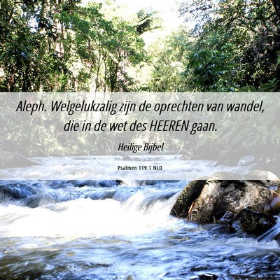 Picture 06 - Psalmen 119:1 NLD - Aleph. Welgelukzalig zijn de oprechten van - Bible Verse Picture