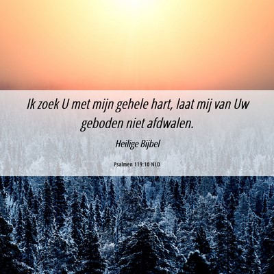 Picture 06 - Psalmen 119:10 NLD - Ik zoek U met mijn gehele hart, laat mij van Uw - Bible Verse Picture