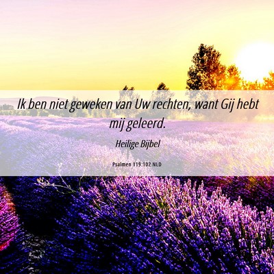 Picture 06 - Psalmen 119:102 NLD - Ik ben niet geweken van Uw rechten, want Gij hebt - Bible Verse Picture