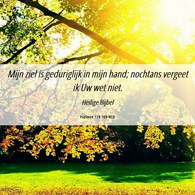 Picture 06 - Psalmen 119:109 NLD - Mijn ziel is geduriglijk in mijn hand; nochtans - Bible Verse Picture