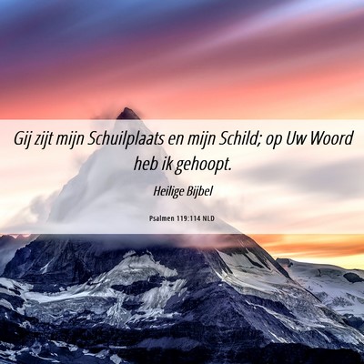 Picture 06 - Psalmen 119:114 NLD - Gij zijt mijn Schuilplaats en mijn Schild; op Uw - Bible Verse Picture