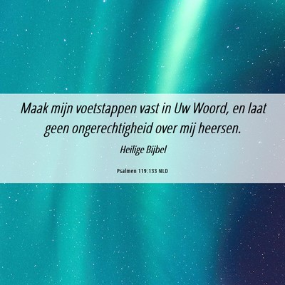 Picture 06 - Psalmen 119:133 NLD - Maak mijn voetstappen vast in Uw Woord, en laat - Bible Verse Picture