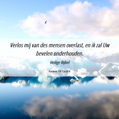Picture 06 - Psalmen 119:134 NLD - Verlos mij van des mensen overlast, en ik zal Uw - Bible Verse Picture