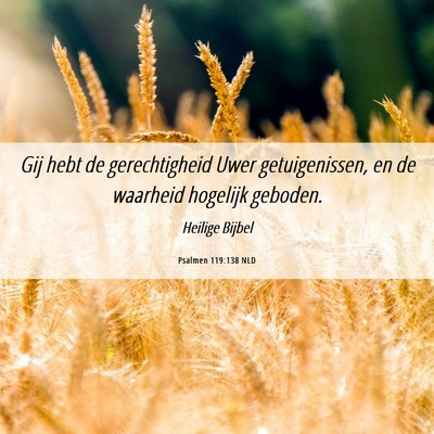 Picture 06 - Psalmen 119:138 NLD - Gij hebt de gerechtigheid Uwer getuigenissen, en - Bible Verse Picture