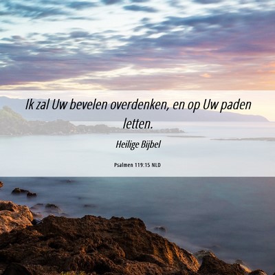 Picture 06 - Psalmen 119:15 NLD - Ik zal Uw bevelen overdenken, en op Uw paden - Bible Verse Picture