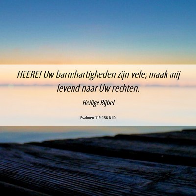 Picture 06 - Psalmen 119:156 NLD - HEERE! Uw barmhartigheden zijn vele; maak mij - Bible Verse Picture