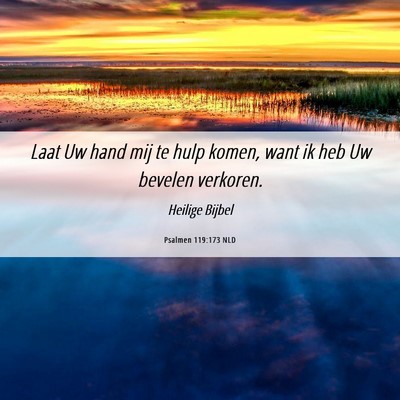 Picture 06 - Psalmen 119:173 NLD - Laat Uw hand mij te hulp komen, want ik heb Uw - Bible Verse Picture