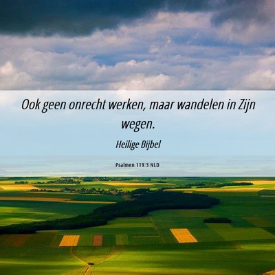 Picture 06 - Psalmen 119:3 NLD - Ook geen onrecht werken, maar wandelen in Zijn - Bible Verse Picture